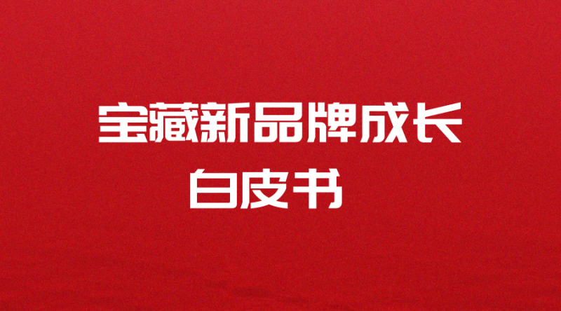 【淘宝天猫】宝藏新品牌成长白皮书-全栈运营知识库