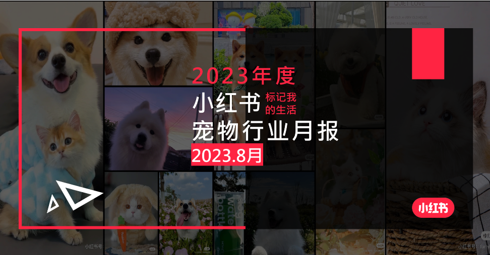 小红书2023年宠物行业月报-8月-小红书运营运营岛-国内电商-全栈运营 | 电商人必备全域营销知识库-分享·学习·交流