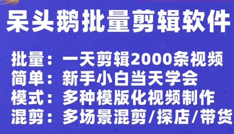 呆头鹅批量剪辑视频软件-年卡-全栈运营知识库